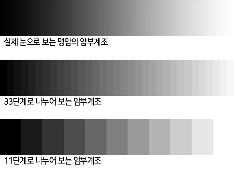 BenQ 단계별 명암비 비교