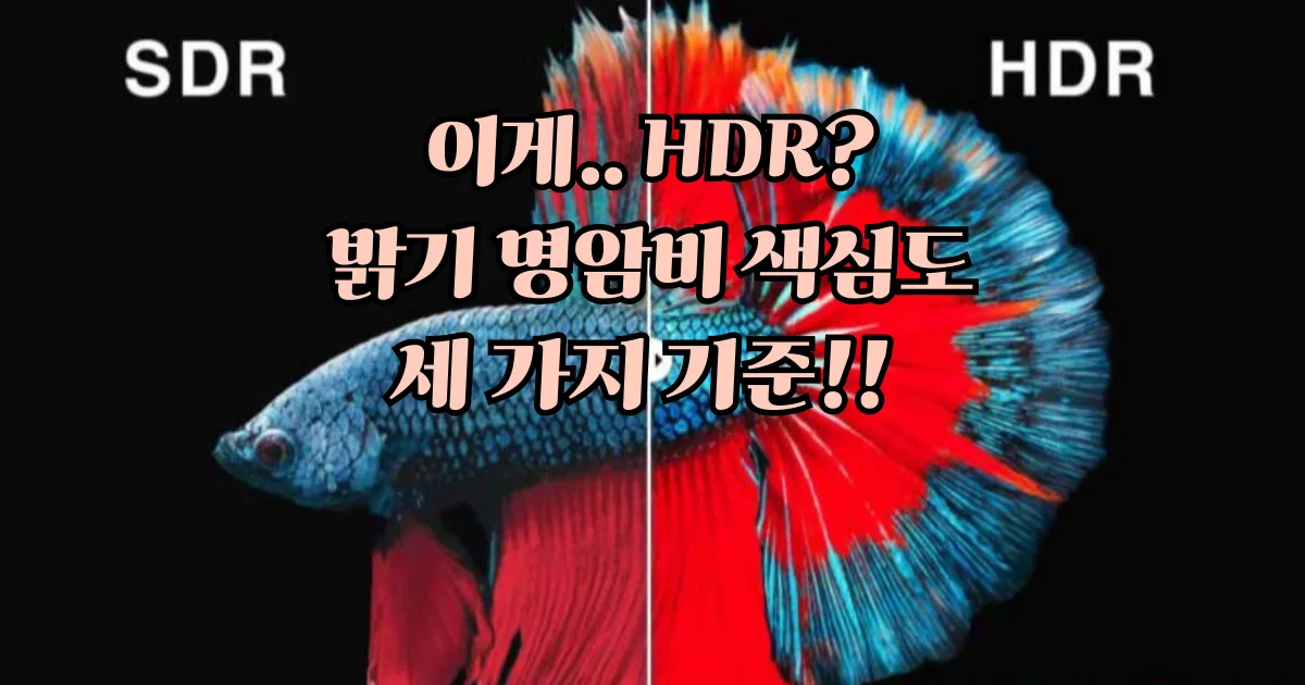 HDR 이란 밝기 명암비 색심도 기준, 이제 속지 마세요!